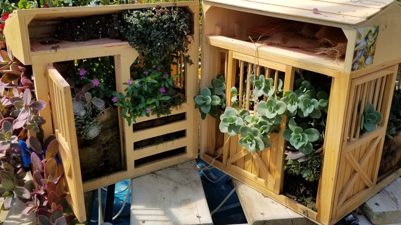 succulents and other plants in wooden boxes